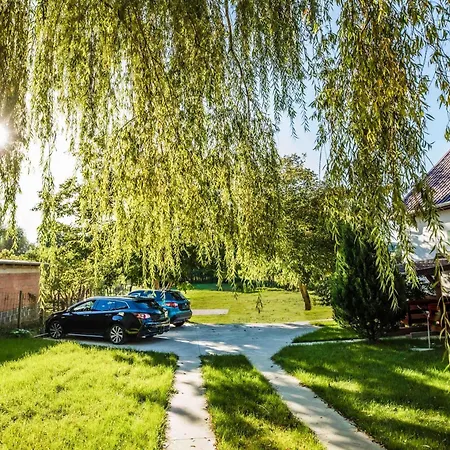 Zselici Csillagvirag Vendeghaz *